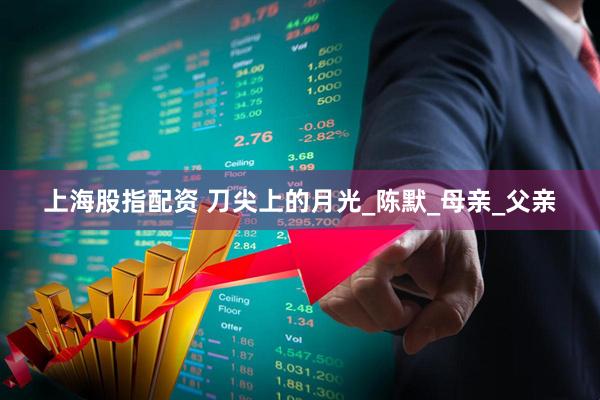 上海股指配资 刀尖上的月光_陈默_母亲_父亲